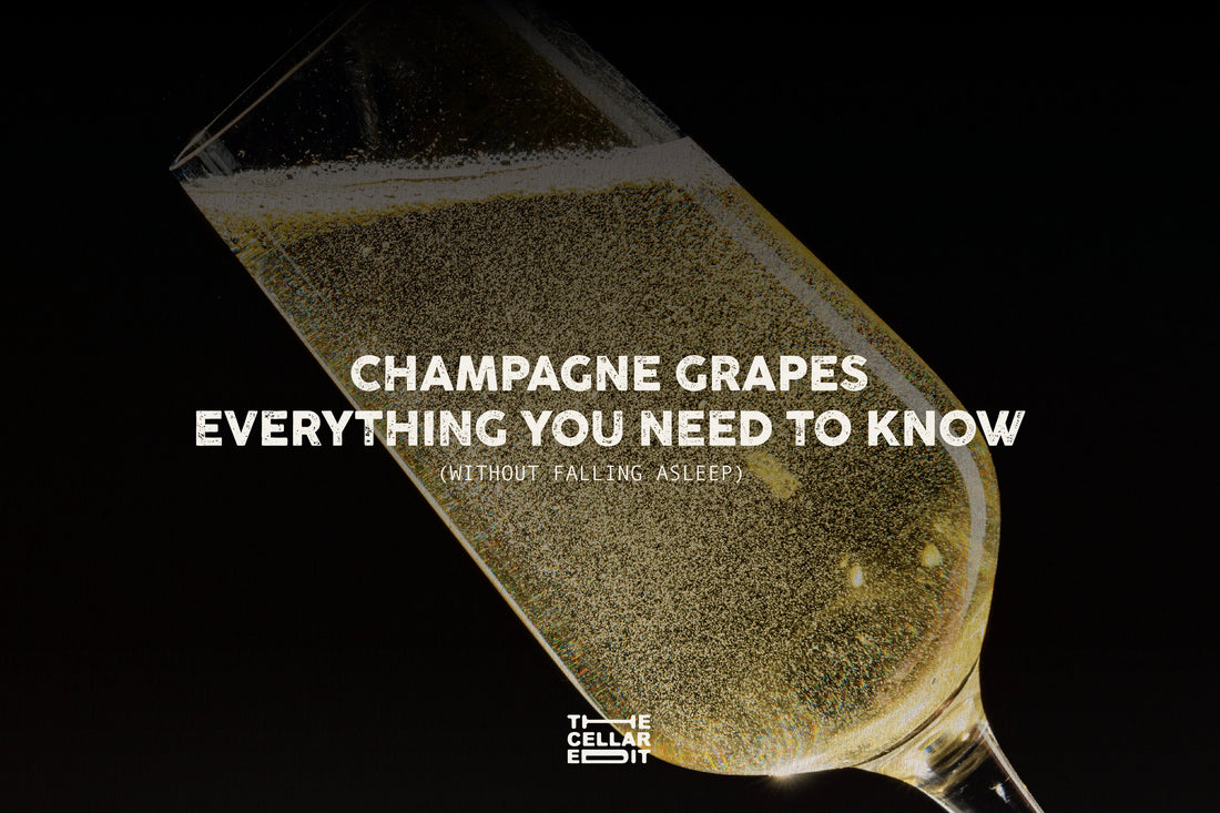 Champagne Grapes : Everything You Need to Know (Without Falling Asleep)