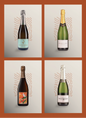 Holiday Edition: Four Champagnes for Every Celebration